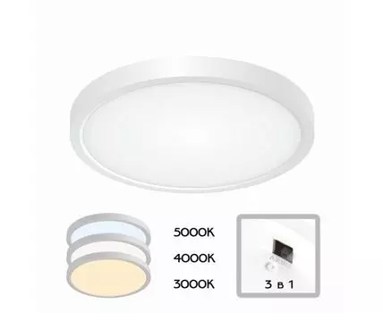 Настенно-потолочный светильник CitiLux Бейсик