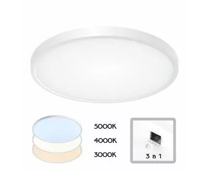 Настенно-потолочный светильник CitiLux Бейсик