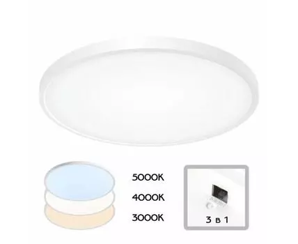 Настенно-потолочный светильник CitiLux Бейсик