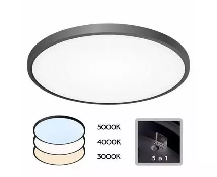 Настенно-потолочный светильник CitiLux Бейсик