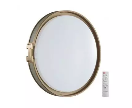 Настенно-потолочный светильник FAVEMO GREY Sonex