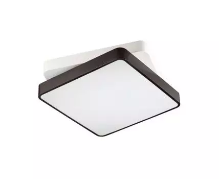 Настенно-потолочный светильник Lumion AGATHA