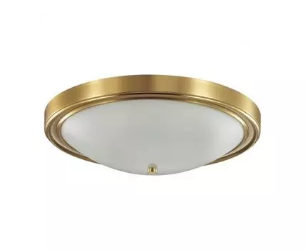 Настенно-потолочный светильник Lumion NINA