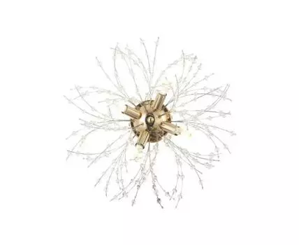 Настенно-потолочный светильник Salut (золотистый, 40)