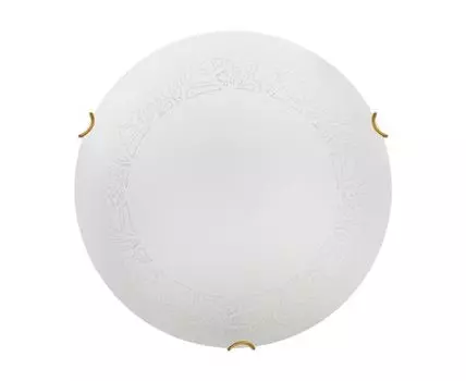 Настенно-потолочный светильник SONEX AMMONITE