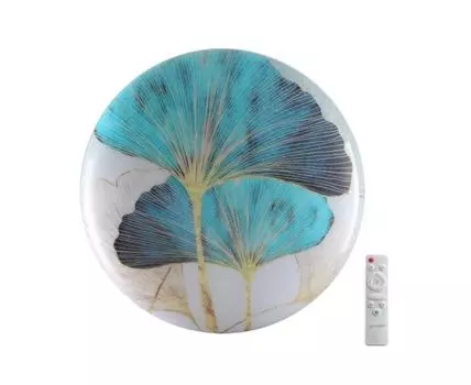 Настенно-потолочный светильник SONEX FLOREN