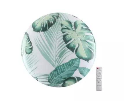 Настенно-потолочный светильник SONEX FLORI