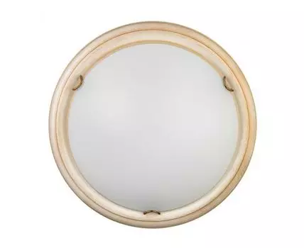 Настенно-потолочный светильник SONEX PROVENCE