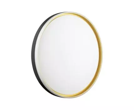 Настенно-потолочный светильник Sonex SAVI