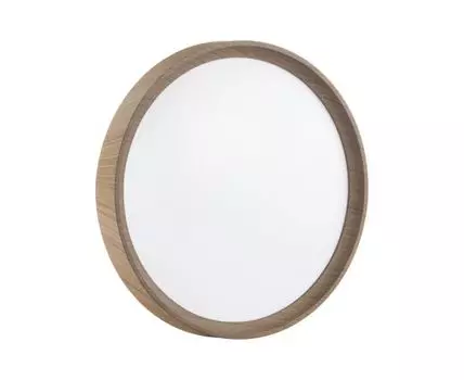 Настенно-потолочный светильник Sonex WOODI