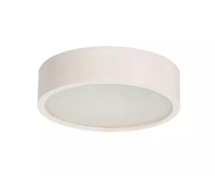 Настенный потолочный светильник JASMIN