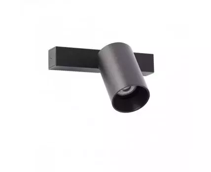 Настенный/потолочный светильник Stan 1L черный