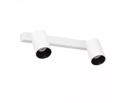 Настенный/потолочный светильник Stan 2L белый