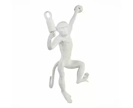 Настенный светильник Evoluce с мартышкой TENATO