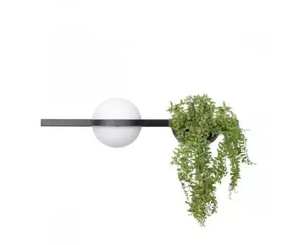 Настенный светильник Loft IT Jardin