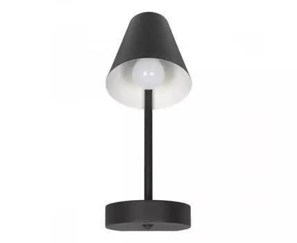 Настенный светильник LOFT IT Shelf