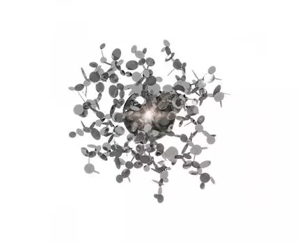 Настенный светильник Loft IT Spark