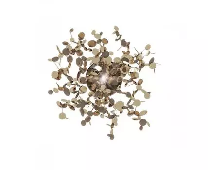 Настенный светильник Loft IT Spark