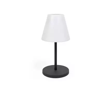 Настольная лампа Amaray