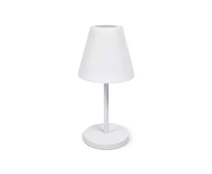 Настольная лампа Amaray