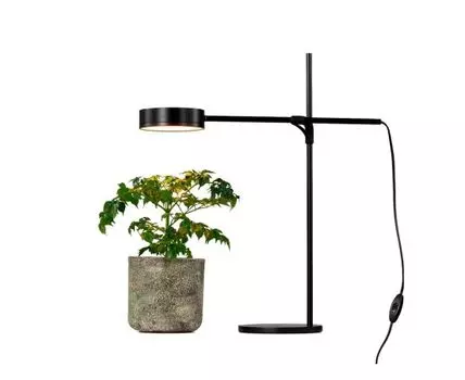 Настольная лампа и кашпо GOGROW Table Lamp