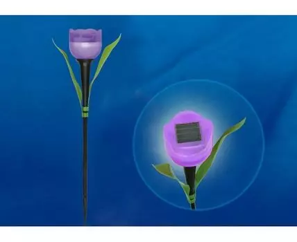 Наземный низкий светильник Uniel Tulip USL-C-453/PT305 PURPLE TULIP