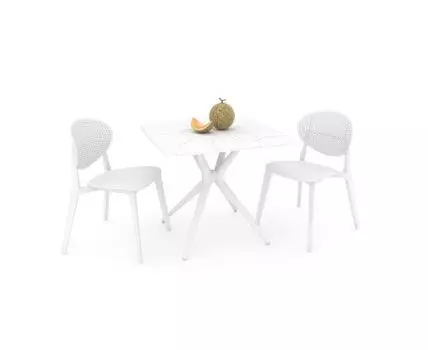 Обеденная группа SHT-DS112