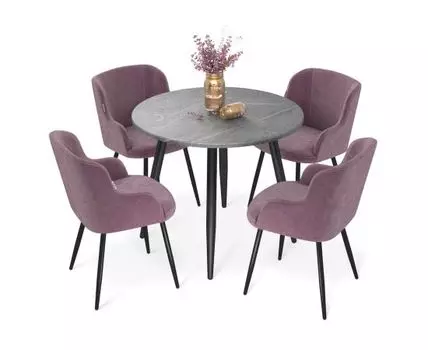 Обеденная группа SHT-DS226