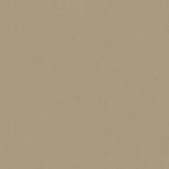 Обои As Creation Floral Impression 0.53x10.05