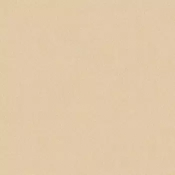 Обои As Creation New Life 0.53x10.05