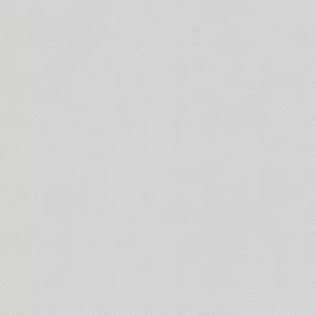 Обои As Creation Original View 0.53x10.05