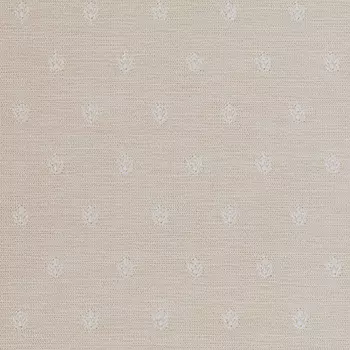 Обои Calcutta Ambassador