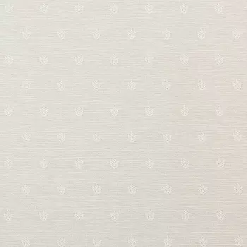 Обои Calcutta Ambassador