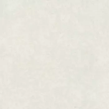 Обои Erismann Gentle 10.05x1.06