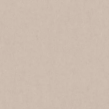 Обои Loymina Rosa Dragomirski 1x10.05