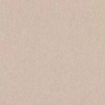 Обои Loymina Rosa Dragomirski 1x10.05