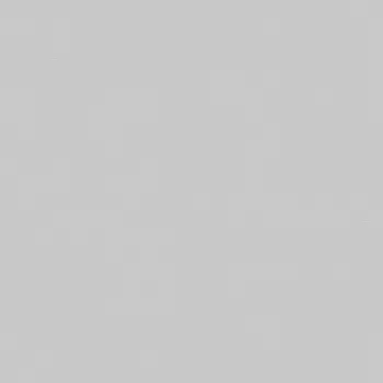 Обои Loymina Shade Vol2 1x10.05