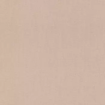 Обои Rasch Excellent 0.53x10.05