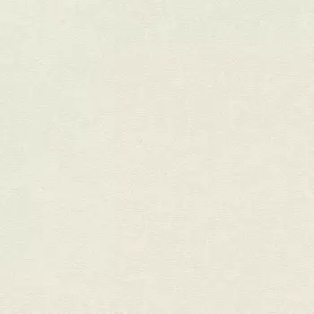 Обои Rasch Excellent 0.53x10.05