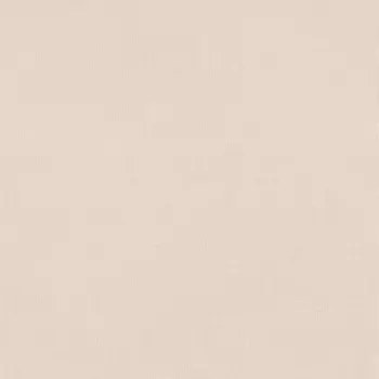 Обои Rasch Excellent 0.53x10.05