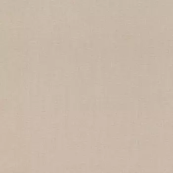 Обои Rasch Excellent 0.53x10.05