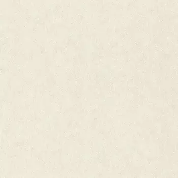 Обои Rasch Factory Style 1.06x10.05