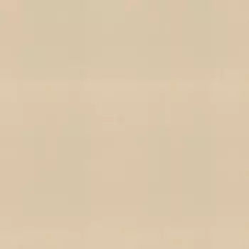 Обои Rasch Florentine Incanto 1.06x10.05