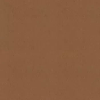 Обои Rasch Florentine Incanto 1.06x10.05