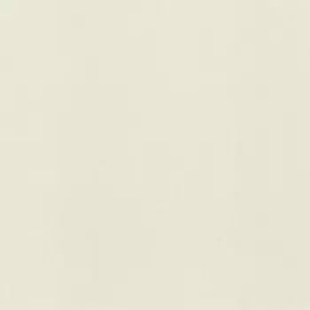 Обои Rasch Fresh Up 1.06x10.05