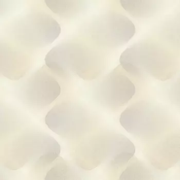 Обои Rasch Fresh Up 1.06x10.05