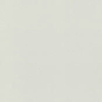 Обои Rasch Fresh Up 1.06x10.05