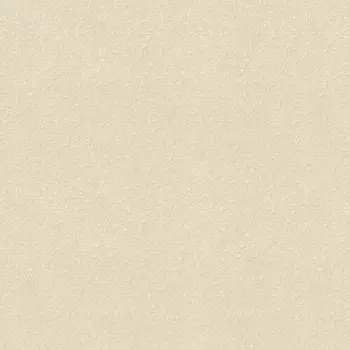 Обои Rasch Gentle Elegance 1.06x10.05