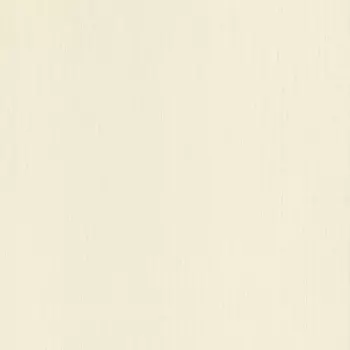 Обои Rasch Indian Style 0.53x10.05