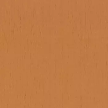 Обои Rasch Indian Style 0.53x10.05